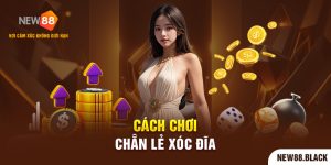 Cách Chơi Chẵn Lẻ Xóc Đĩa Đơn Giản Hiệu Quả Cao 2024