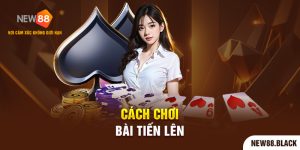 Tiết Lộ Cách Chơi Bài Tiến Lên Miền Nam Cơ Bản Nhất 2024