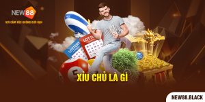 Xỉu Chủ Là Gì - Giải Thích Một Cách Chi Tiết Và Dễ Hiểu Nhất 