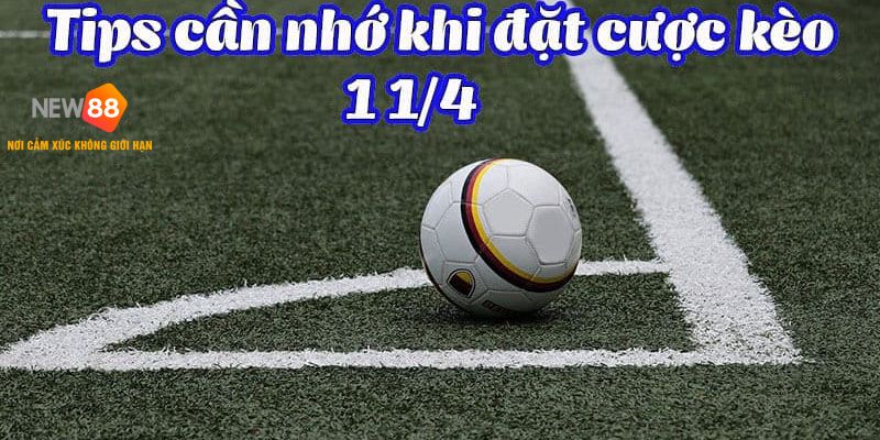 Quy trình soi kèo và phân tích chấp 1 - 1.5